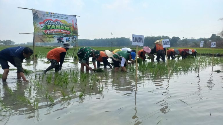Perkuat Ketahanan Pangan, TNI dan Petani Desa Siser Laren Gelar Gerakan Tanam Kebangkitan Nasional 2026