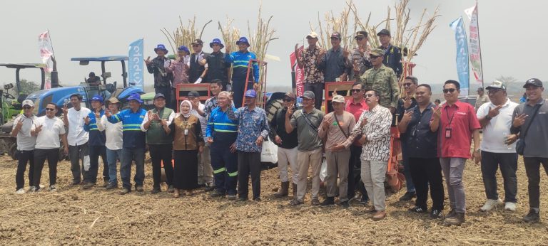 Program Bongkar Ratoon 2026, Peltu Suhadi Dampingi Petani Tanam Tebu